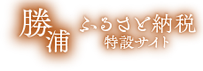 ふるさと納税