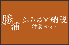 ふるさと納税