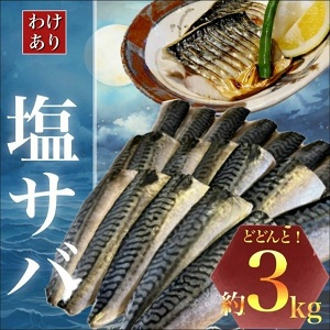 塩サバ