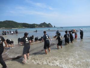 勝浦中学校の生徒たちが地曳き網を引いている写真です