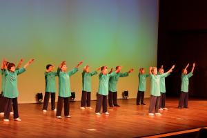 太極拳団体によるパフォーマンス