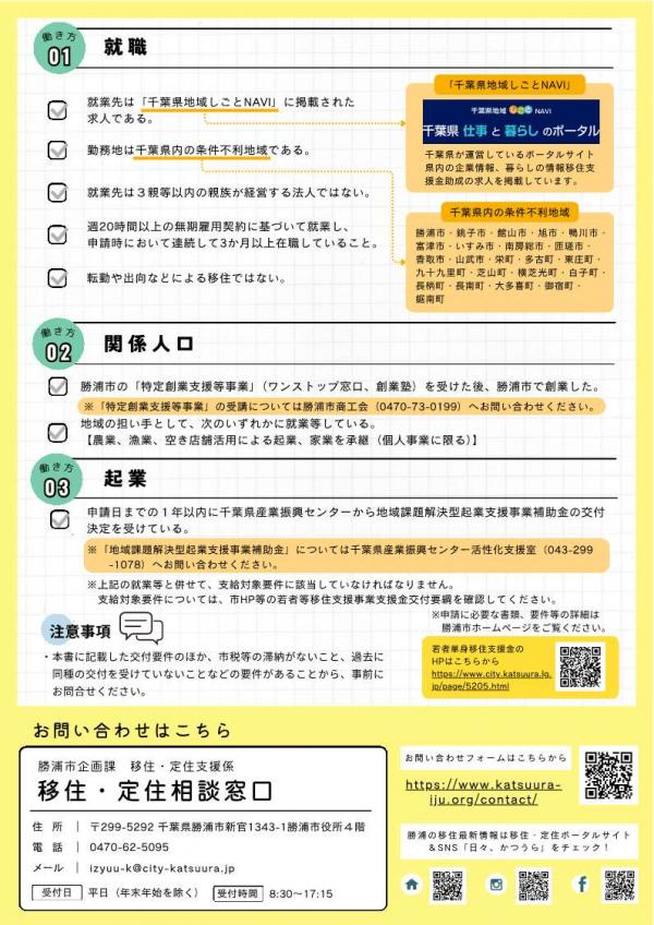 若者単身移住支援金チラシ裏
