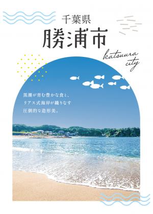 勝浦市