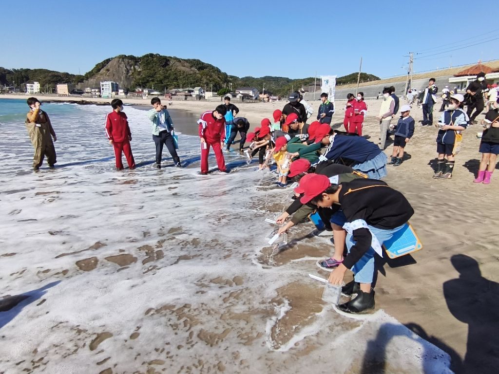 マダイの稚魚を放流する児童たち
