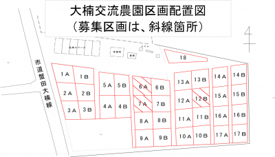大楠交流農園区画配置図