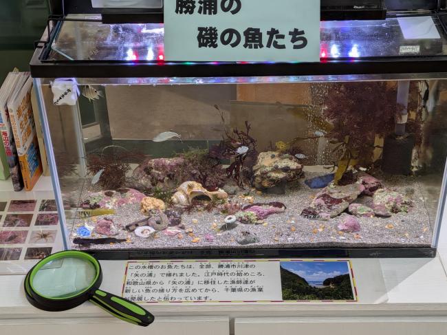 水槽全景
